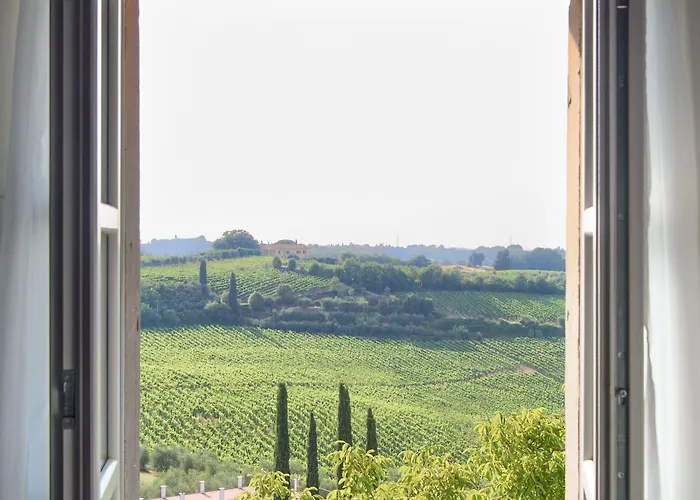 Laqua Vineyard