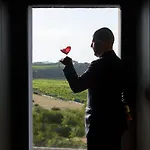 Курортный комплекс Laqua Vineyard