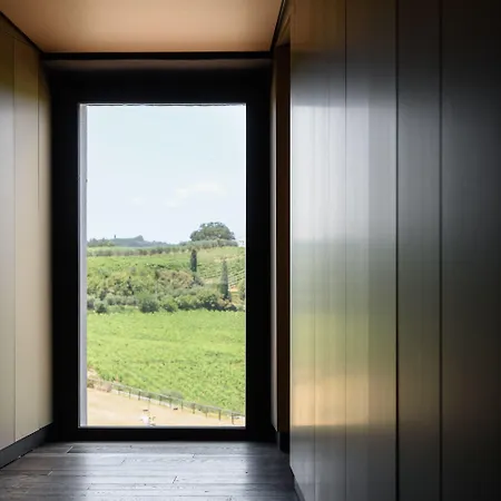 Laqua Vineyard 4* Terricciola