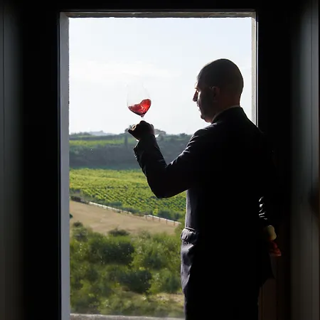 Resort Laqua Vineyard