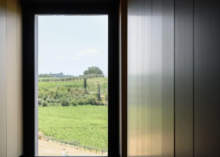 Laqua Vineyard * Terricciola