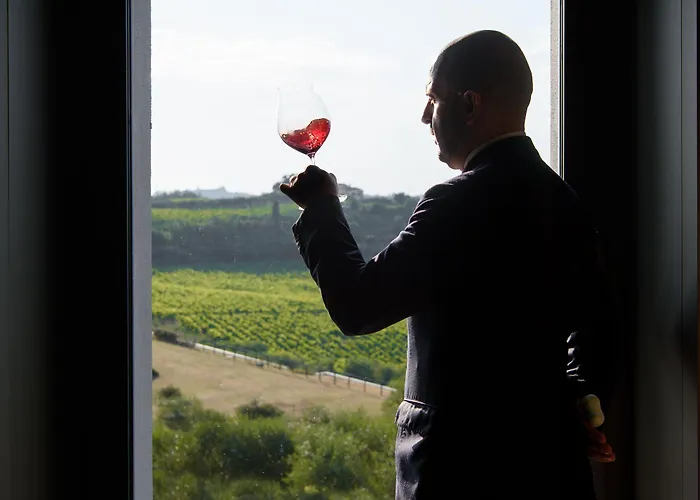 Feriested Laqua Vineyard