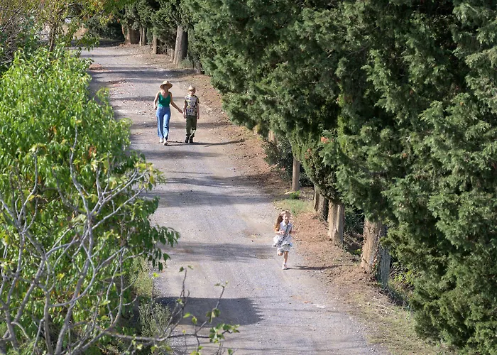 Laqua Vineyard Feriested Terricciola