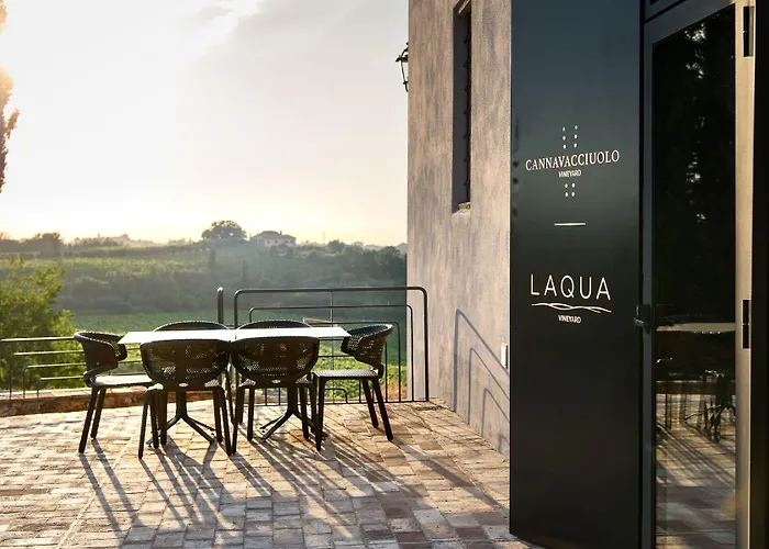 Laqua Vineyard Feriested Terricciola