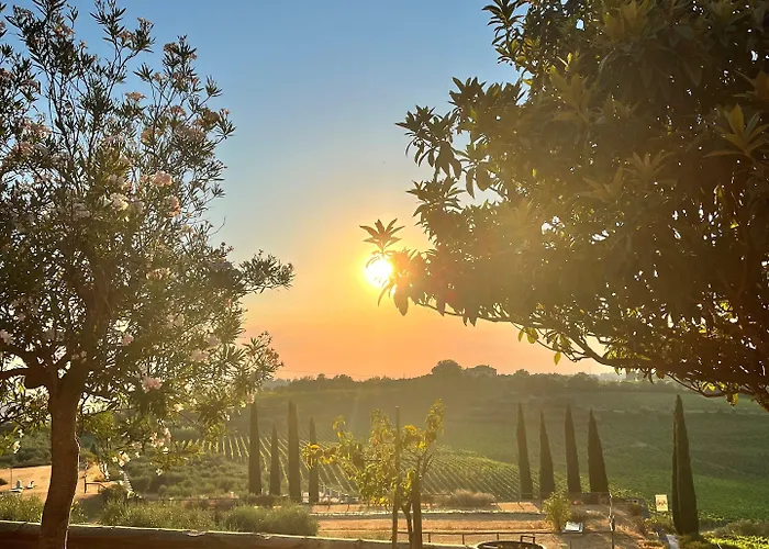 Feriested Laqua Vineyard